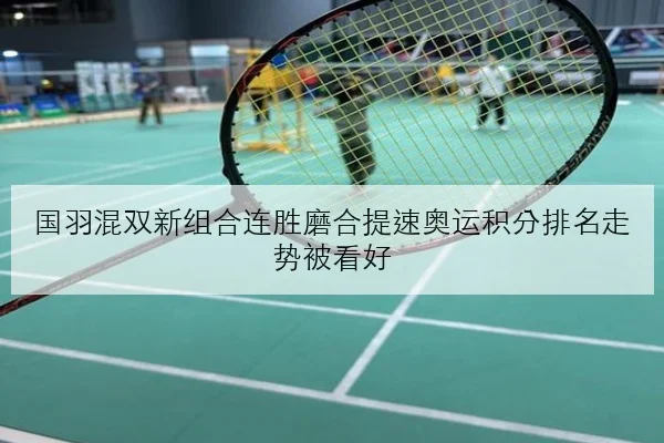 国羽混双新组合连胜磨合提速奥运积分排名走势被看好